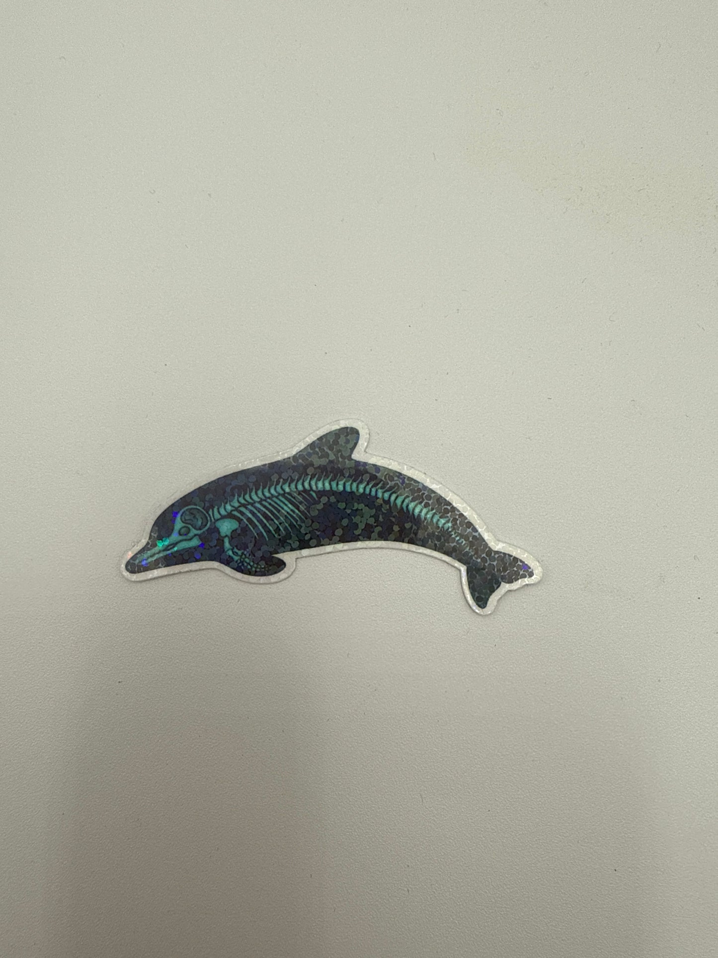 X-ray Dolphin Sticker F18