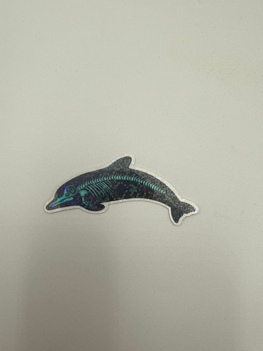 X-ray Dolphin Sticker F18