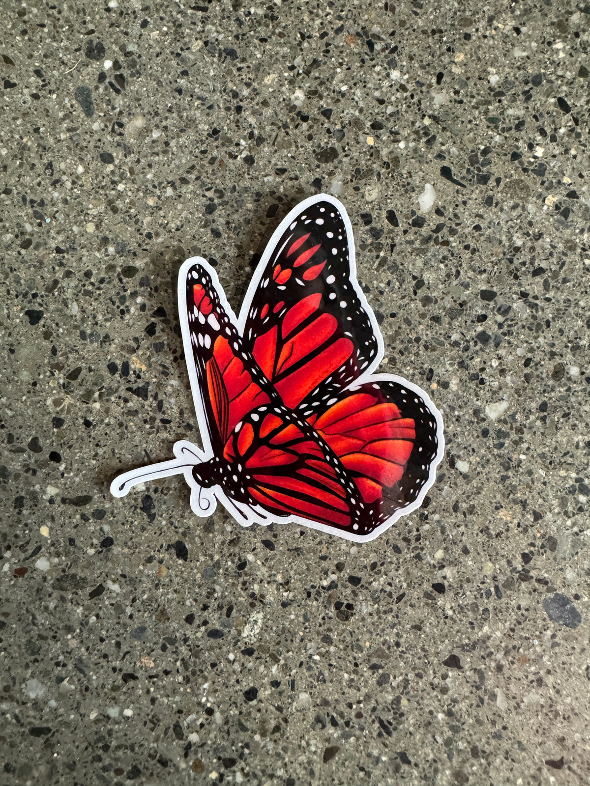 Monarch Butterfly Sticker - J5