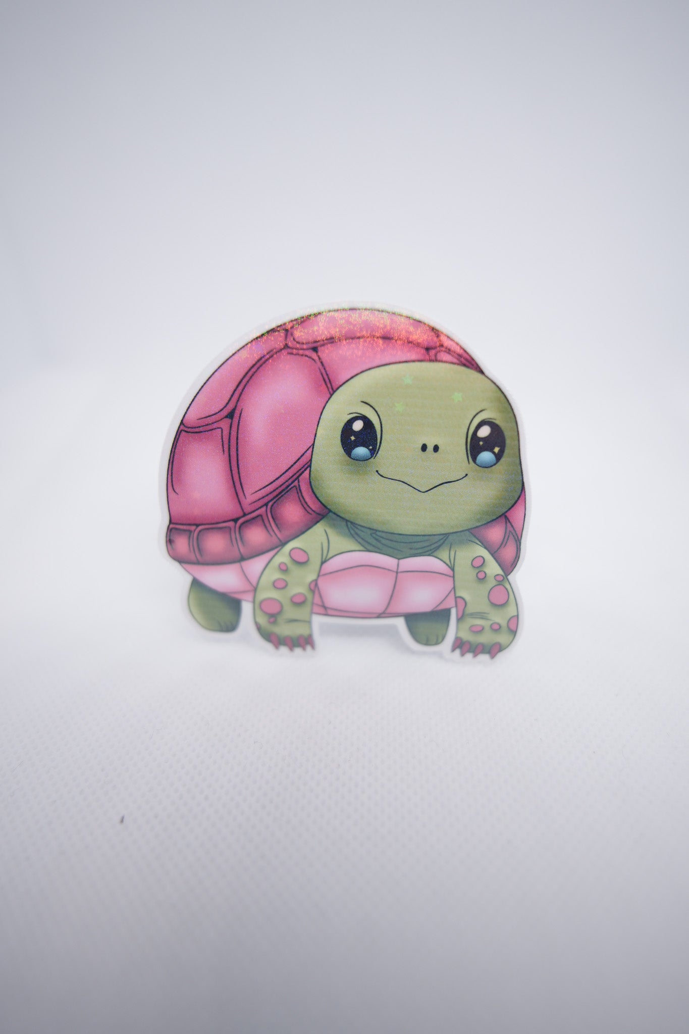 Turtle Sticker - D8