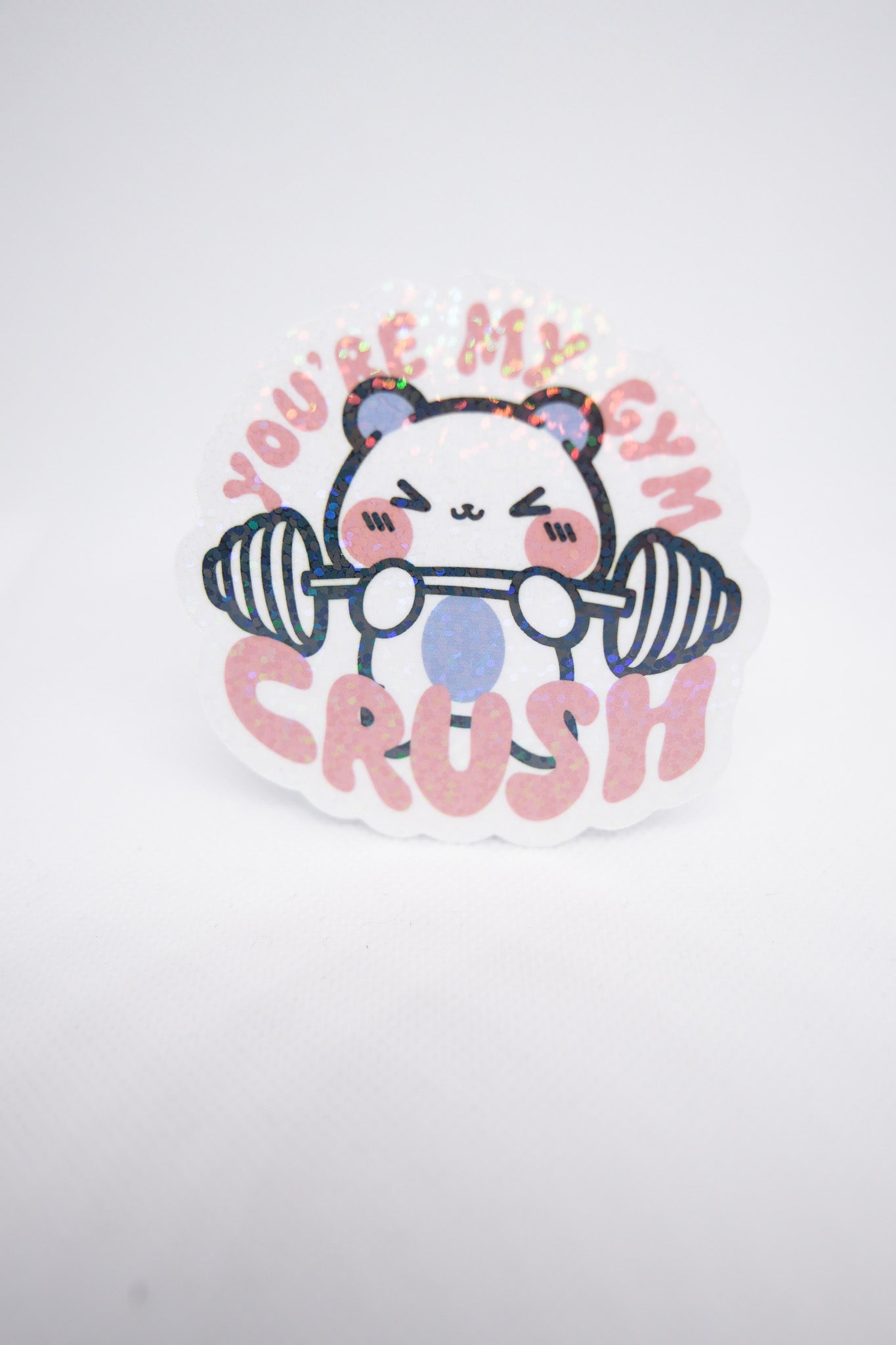 You Are My Gym Crush Sticker - B11