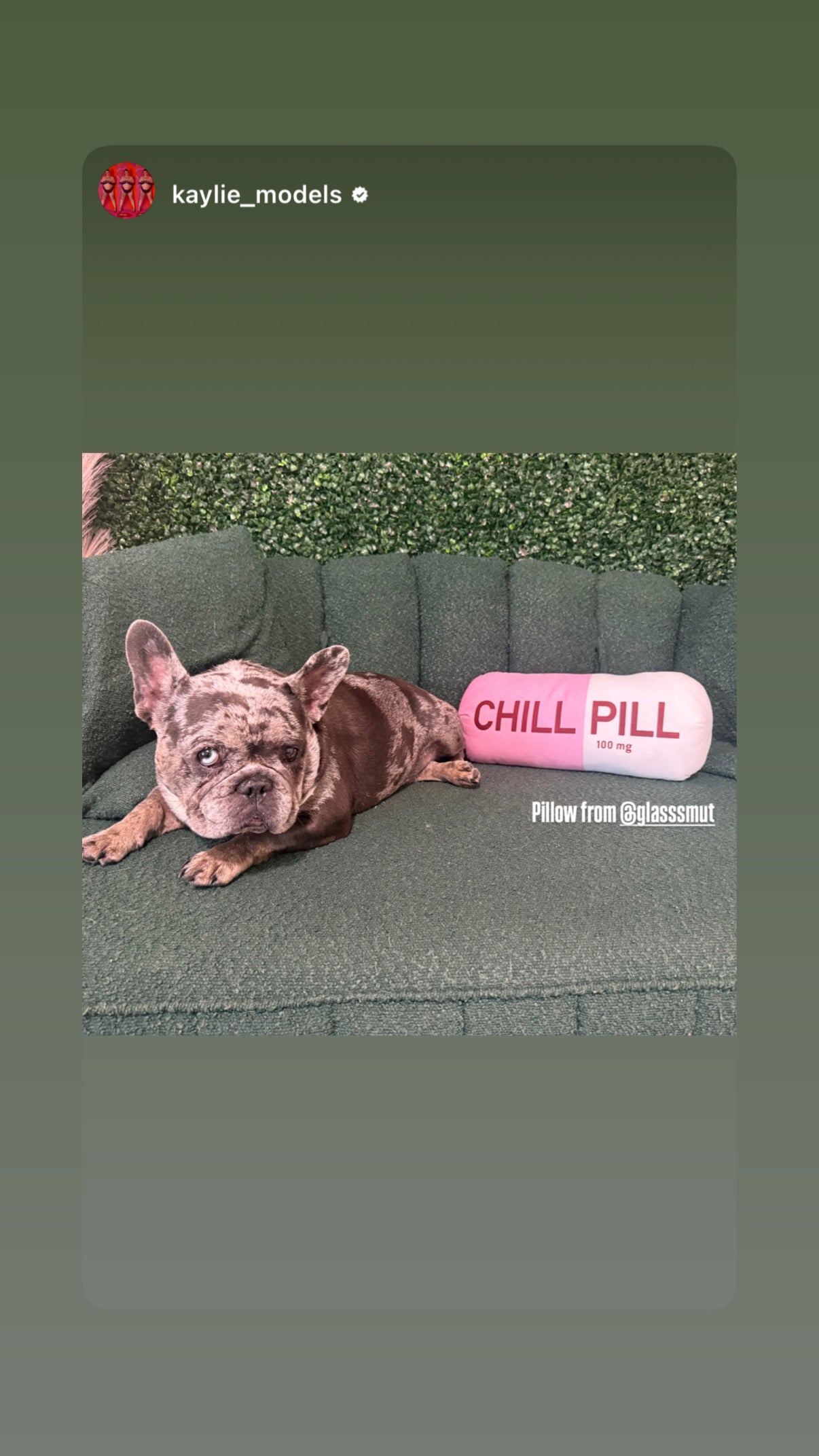 Chill Pill Pillow