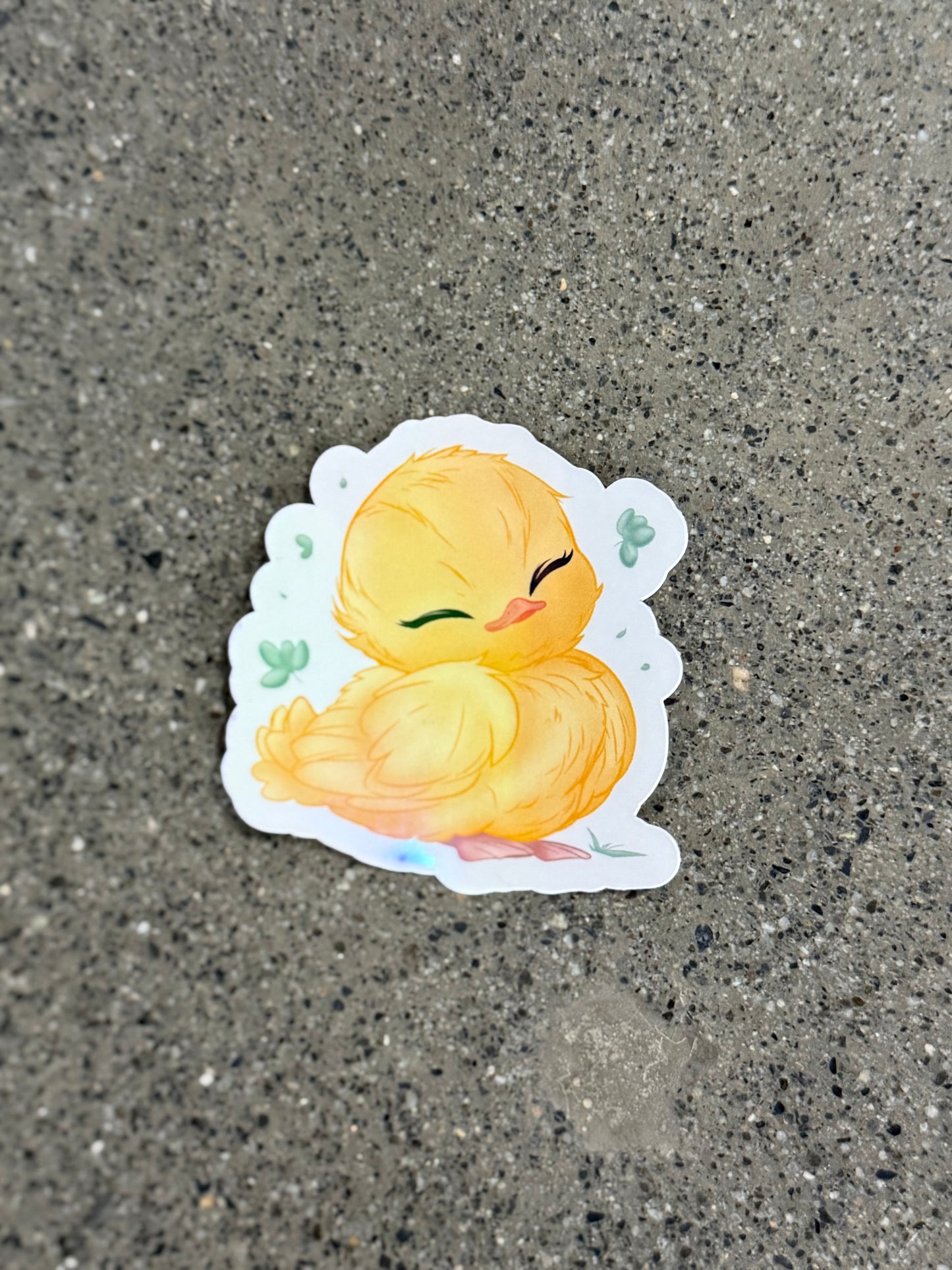 Baby Quacks Sticker - D20
