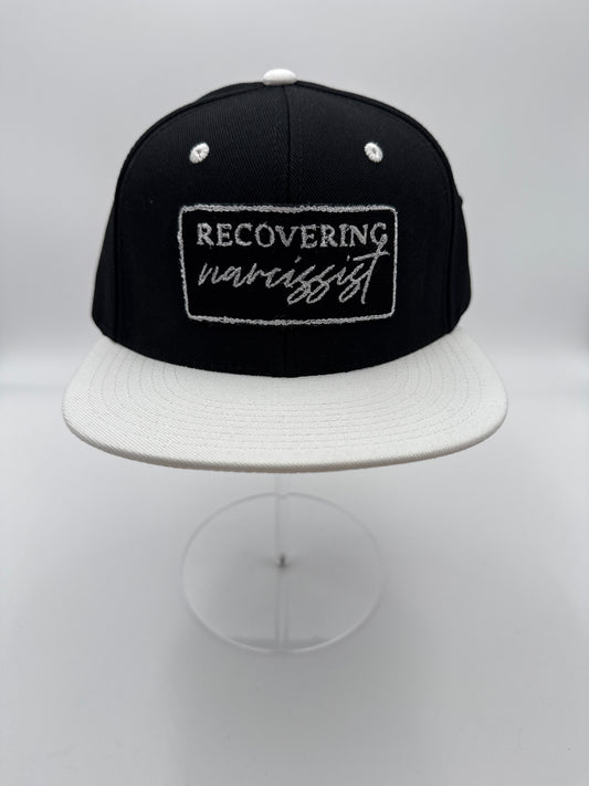 Recovering Narcissist SnapBack #518