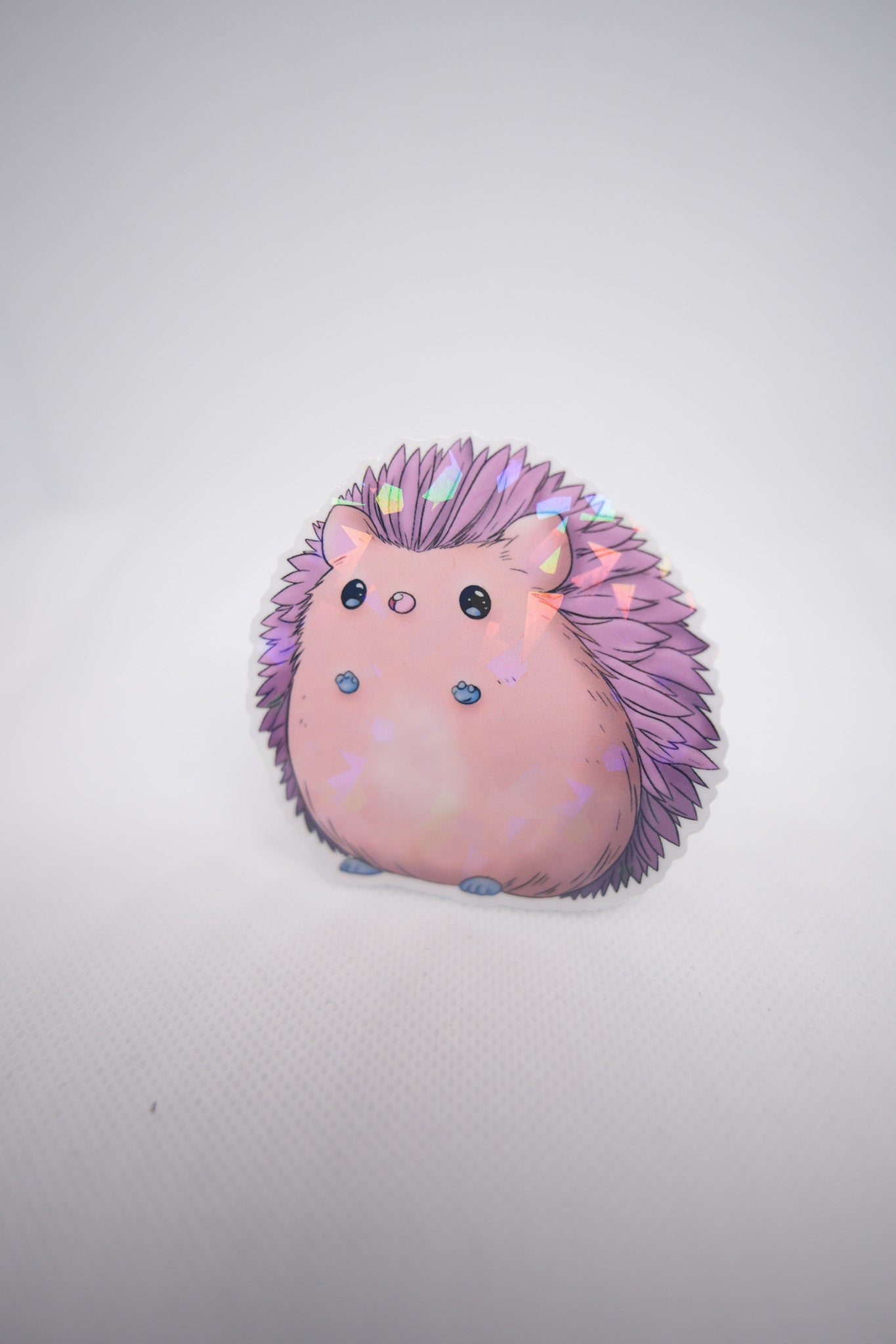 Hedgehog Sticker - D10