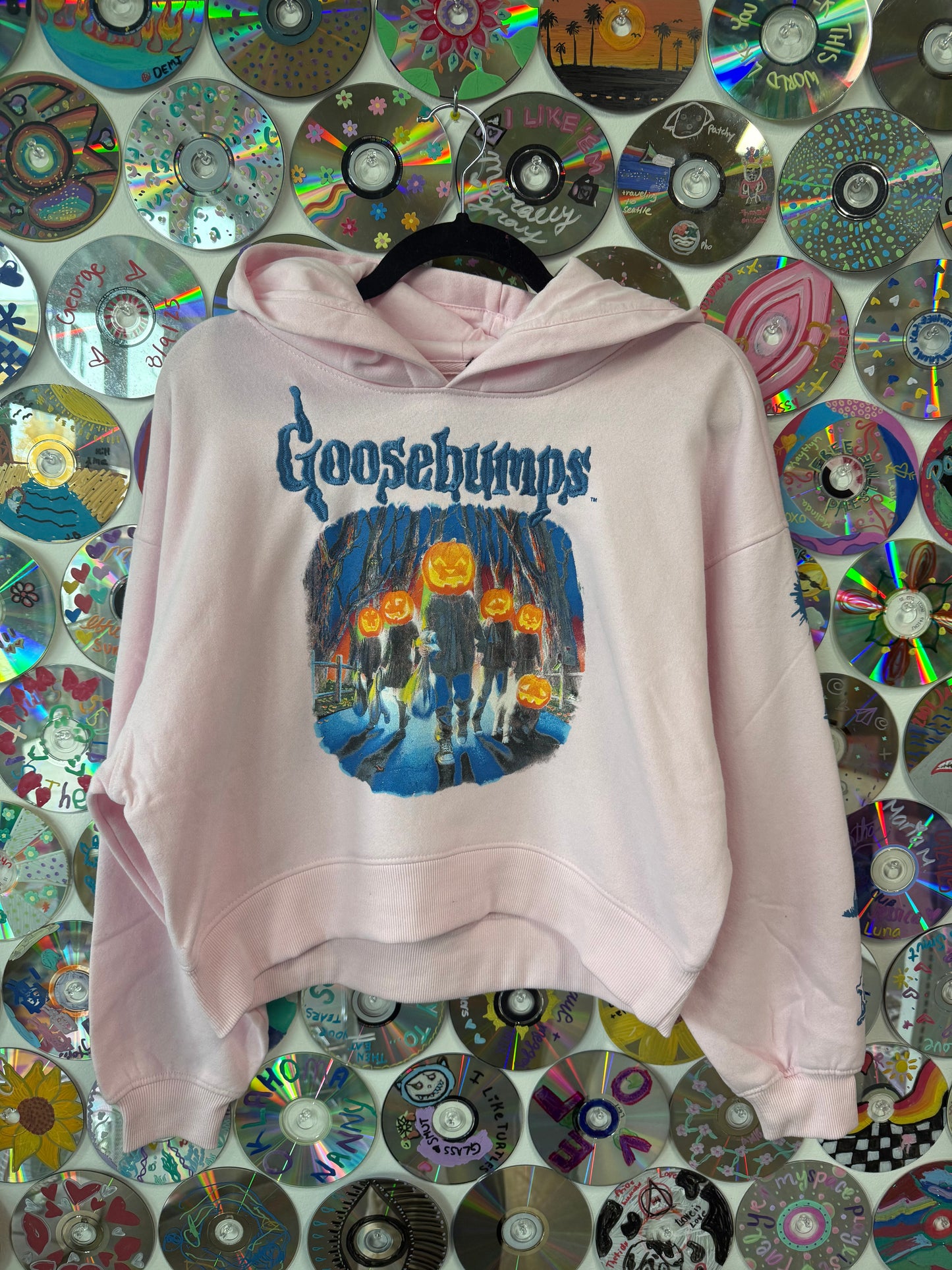 #884 - Goosebumps Hoodie - XS