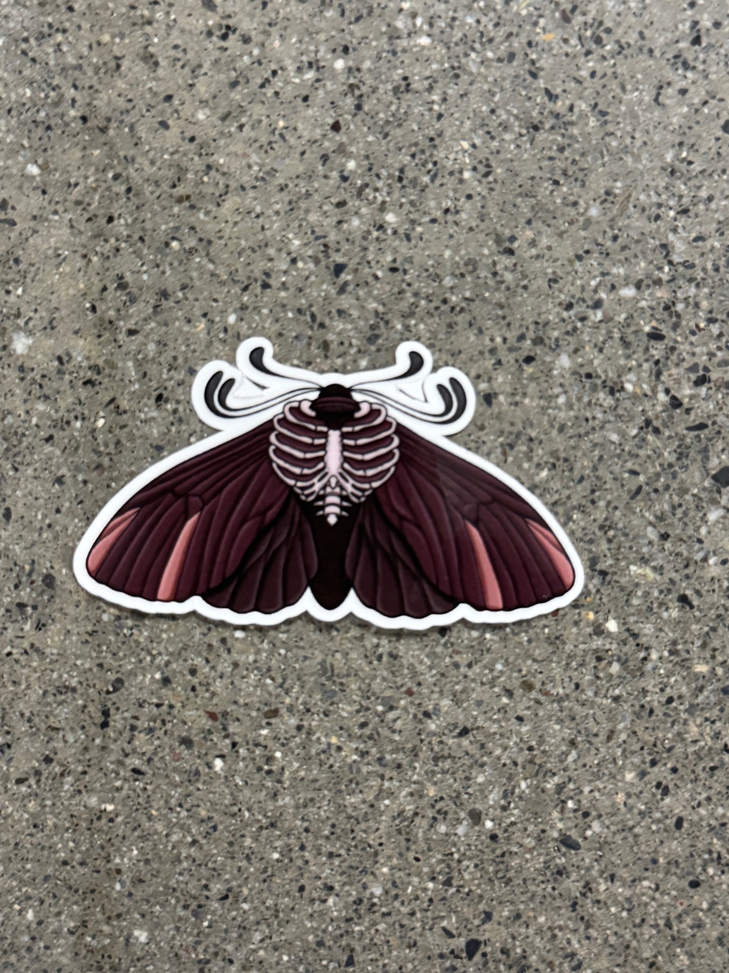 Ribcage Moth Sticker - DR3