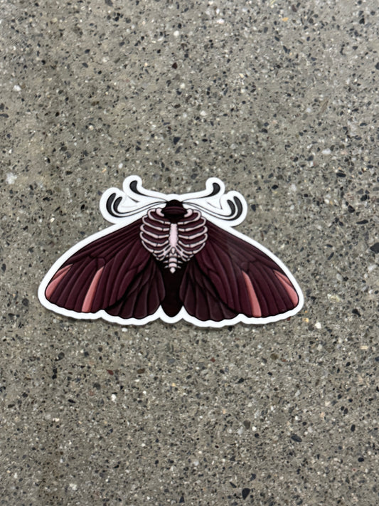 Ribcage Moth Sticker - DR3